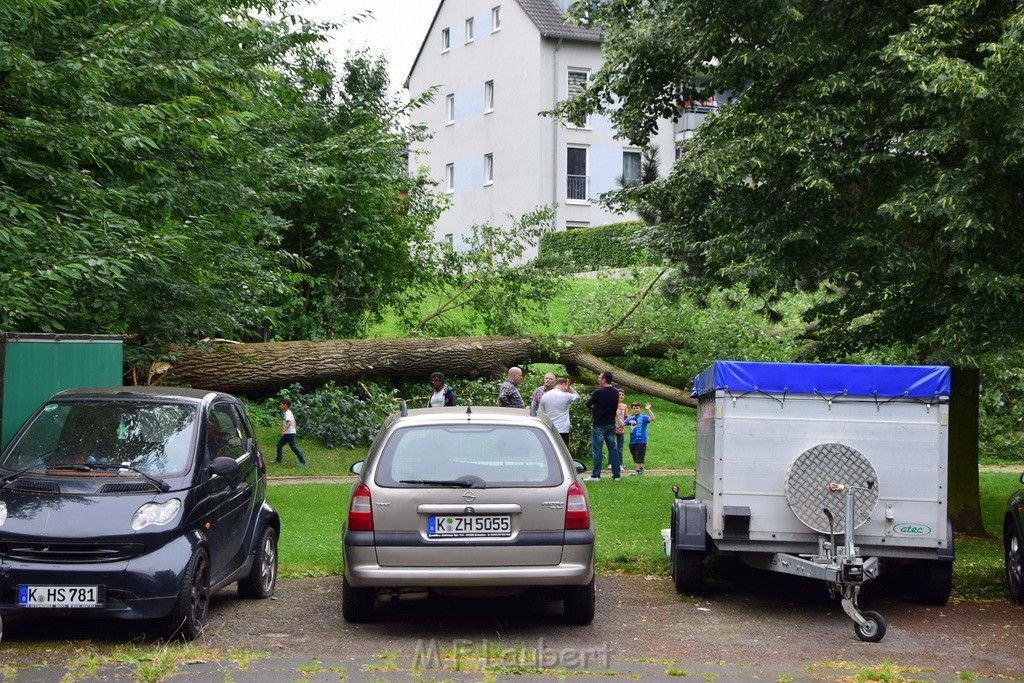 Baum umgestuerzt Koeln Vingst Waldstr P42.JPG - Miklos Laubert